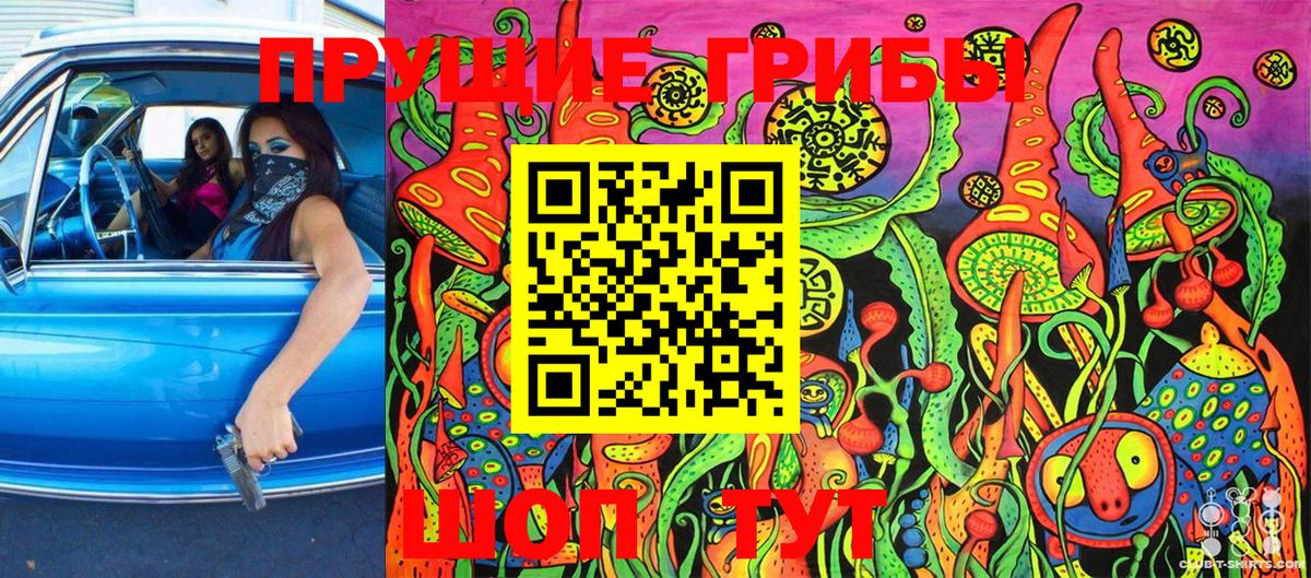 Псилоцибиновые грибы Cubensis Карпинск