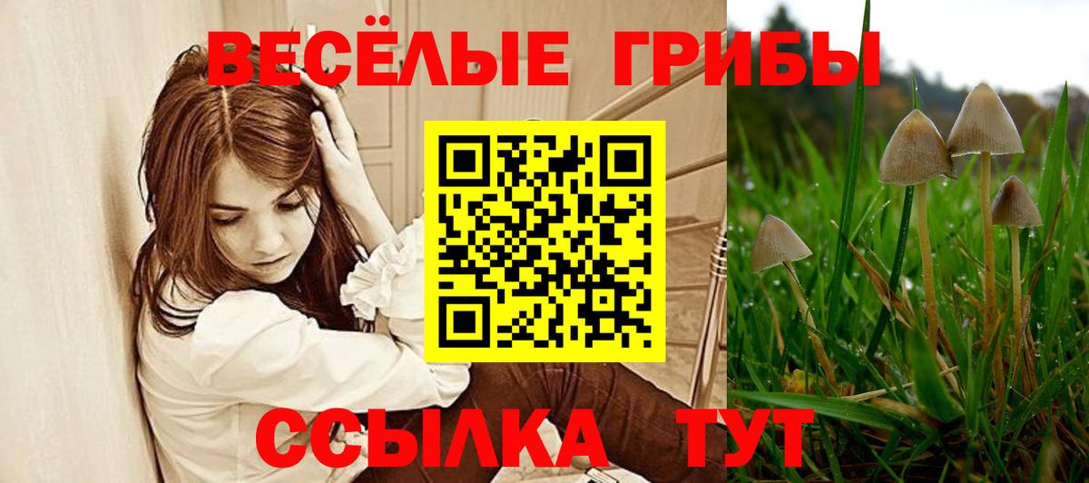 Псилоцибиновые грибы прущие грибы  Псилоцибиновые грибы мицелий  Карпинск  Вход с VPN 